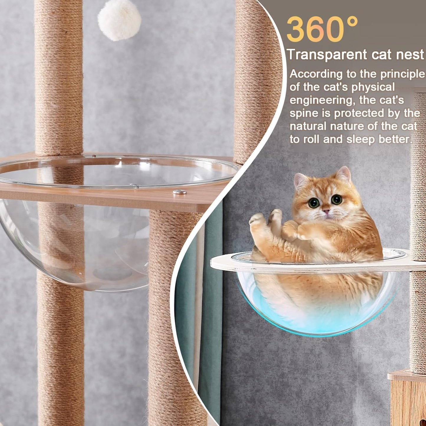 Mekidulu Cat tree - 155CM Cat tower- Cat tree for indoor cats - With 1 Cat hammock,1 Cat house,2 Transparent space capsule,1 Cat ladder,1 Dangling Ball,1 Jumping platform Wooden cat tree(Log color)